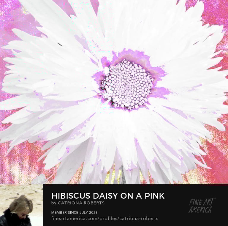 Image of Floral Digital Art -close up photo of a Daisy flower on an abstract background. 