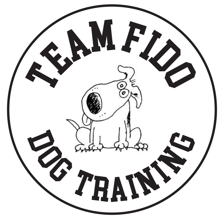 Team Fido logo