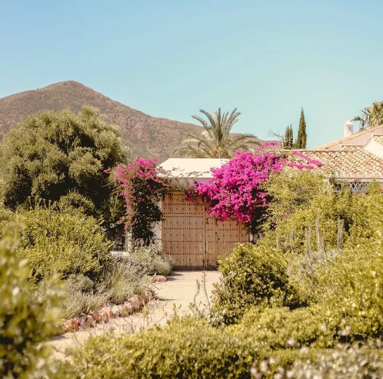 Garden entrance with wooden gates, bougainvillea and mountain backdrop