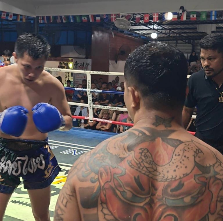 samui fight night knockout battle competition championship boxing ring combat kickboxing knockout 