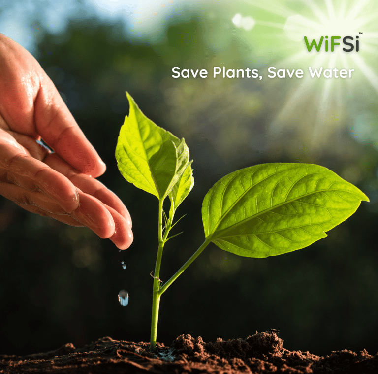 save plants, save water