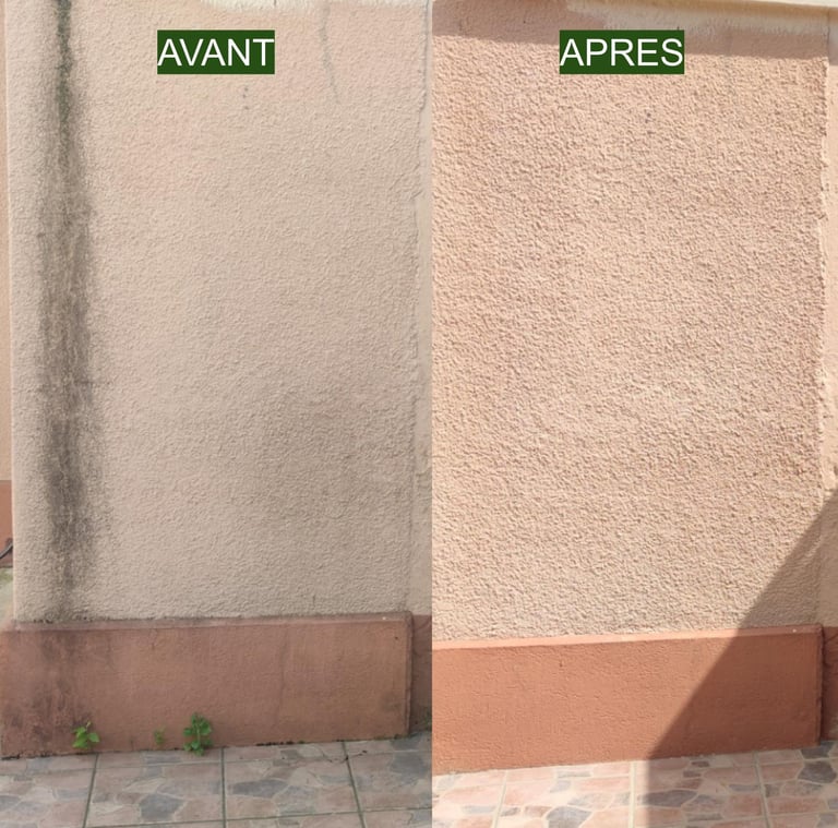 Façade maison – nettoyage profondeur