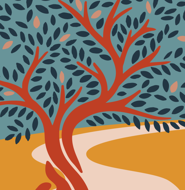 Accompagnement pédagogique