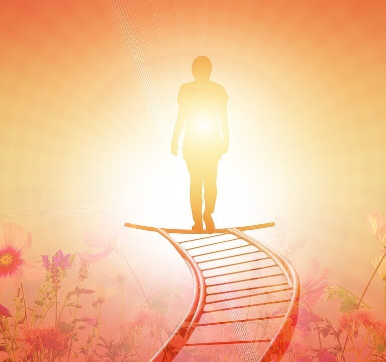 a person standing on a ladder ladder to reach a ladder