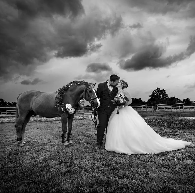 photographer florent wedding saint omer lille a bride and groom standing in a field with a horse
