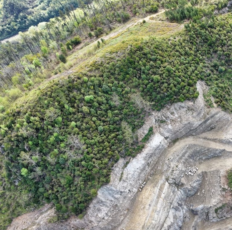 Immagine aerea di area di cava