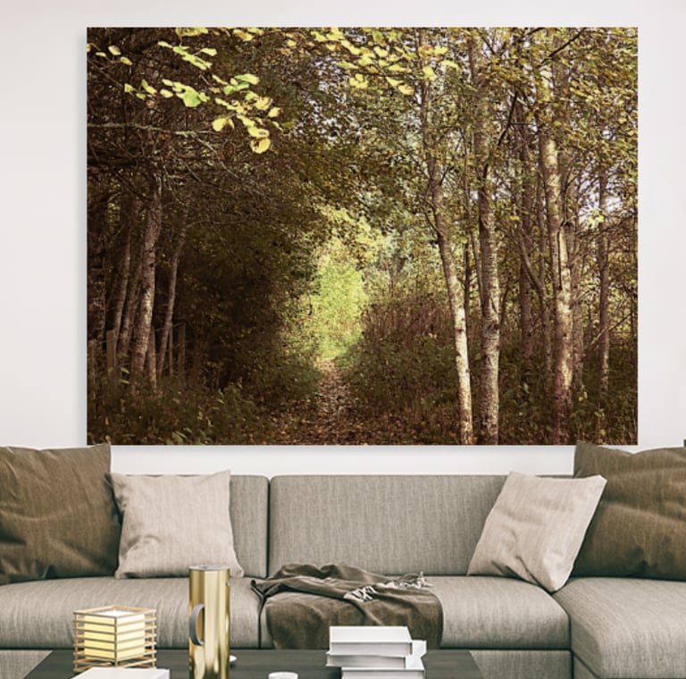 Image of a nature walk on a canvas print on a wall above a couch with throw pillows on it 