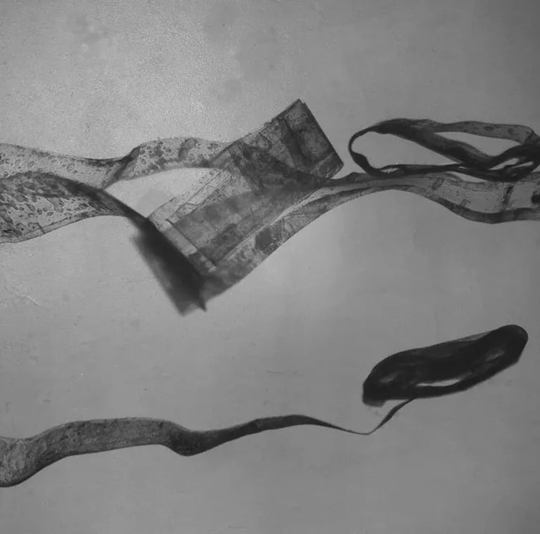 16mm film with dust from the building called ‘Dust-Scapes