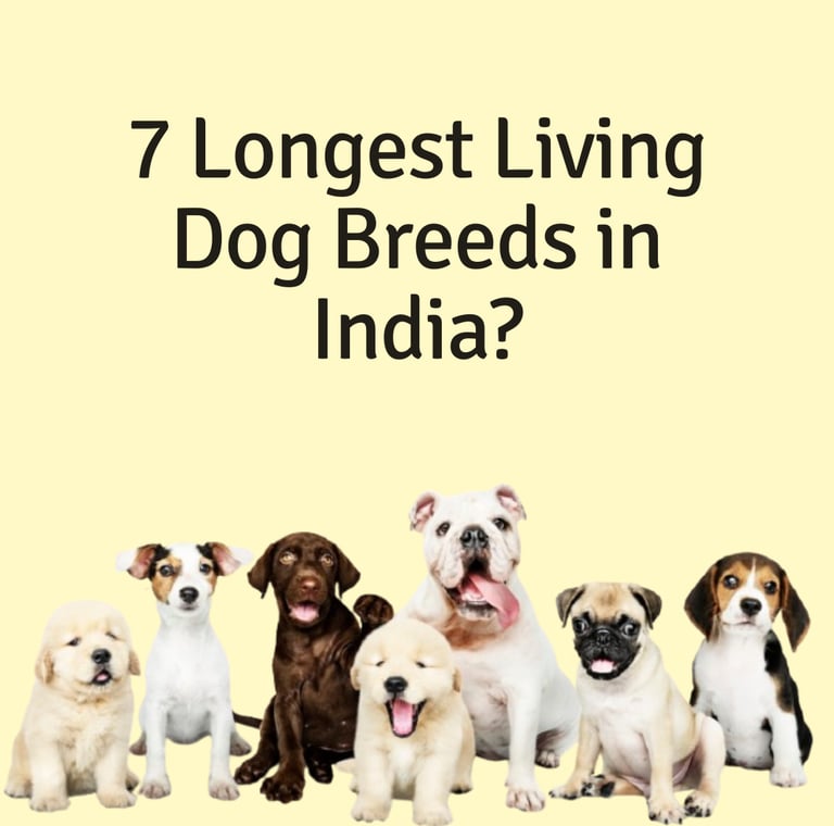 Longest living dog breeds in India poster