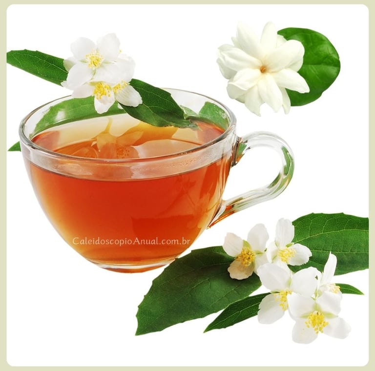 Chá de Jasmim sendo servido em uma xícara transparente com folhas e flores de jasmim ao redor.