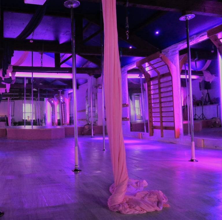 Sxefit studio with three sets of aerial silks available