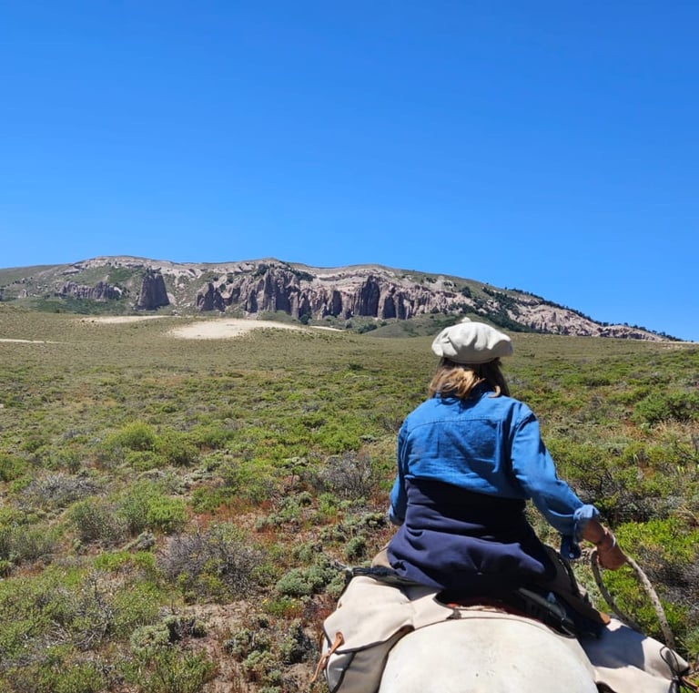 A person on horseback in a wide, open landscape with distant mountains.