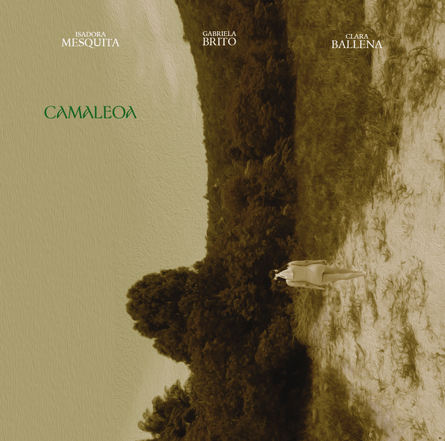 Camaleo