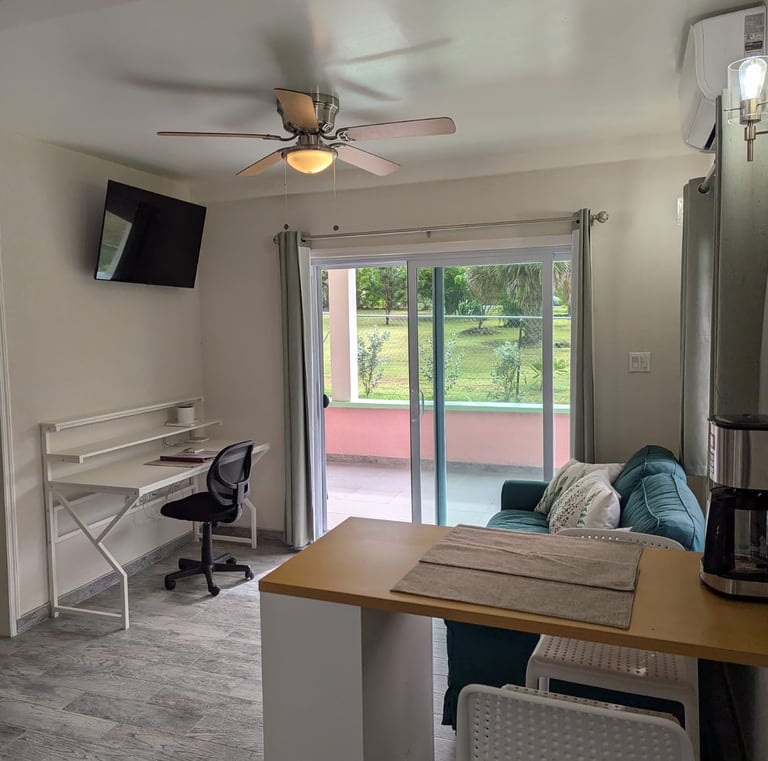 living area with TV and work desk