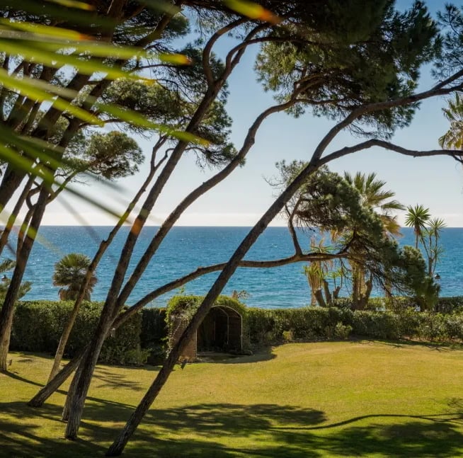 Garden and sea view at Villa El Rincon with pine trees