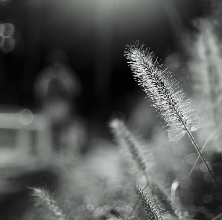a person standing in front of a fence