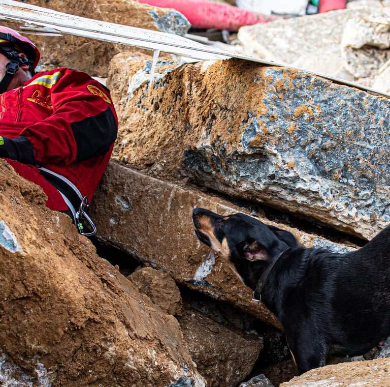 Ringarooma S'nyx en sauvetage décombres