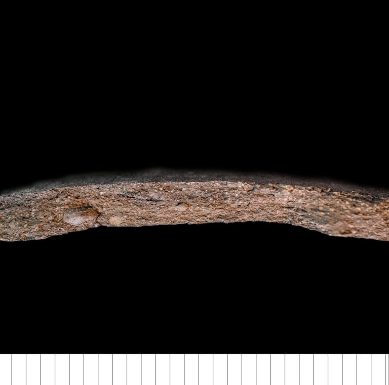 EMW - Early medieval ware (Norwich)