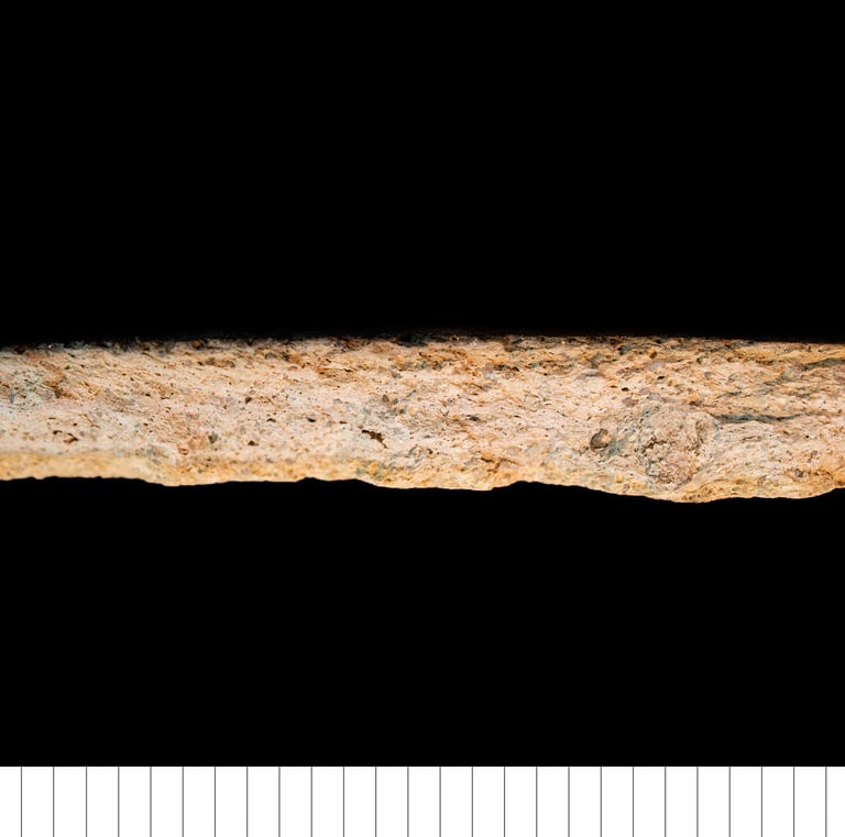 NNFSW - North Norfolk fine sandy ware