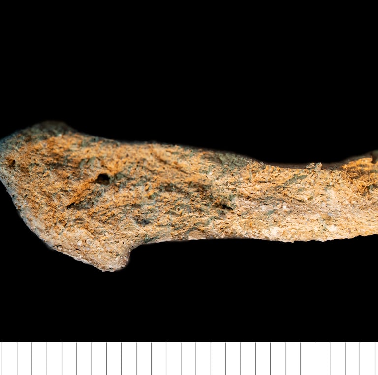 ENMCWCP - E Norfolk MCW with clay pellets