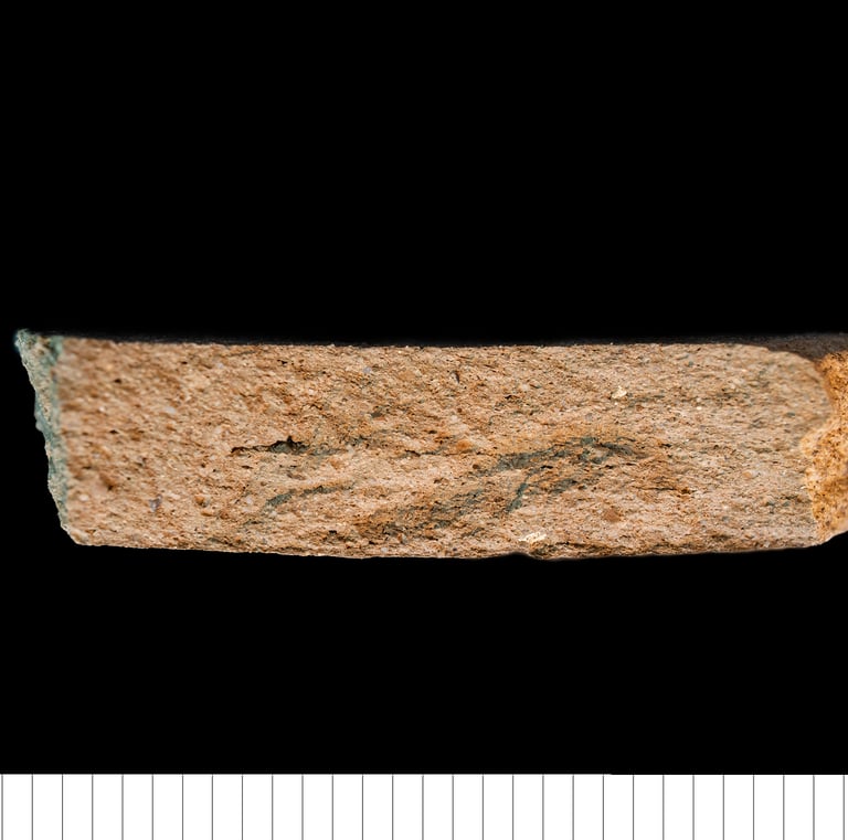 WVCWM - Waveney Valley coarseware micaceous