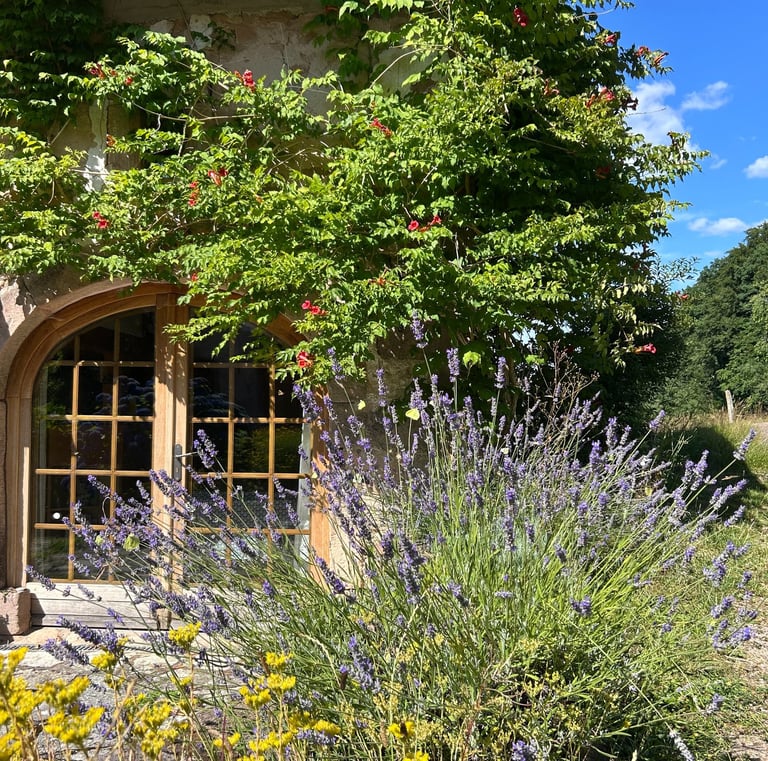 Gîte nature en pierre dans les Vosges.