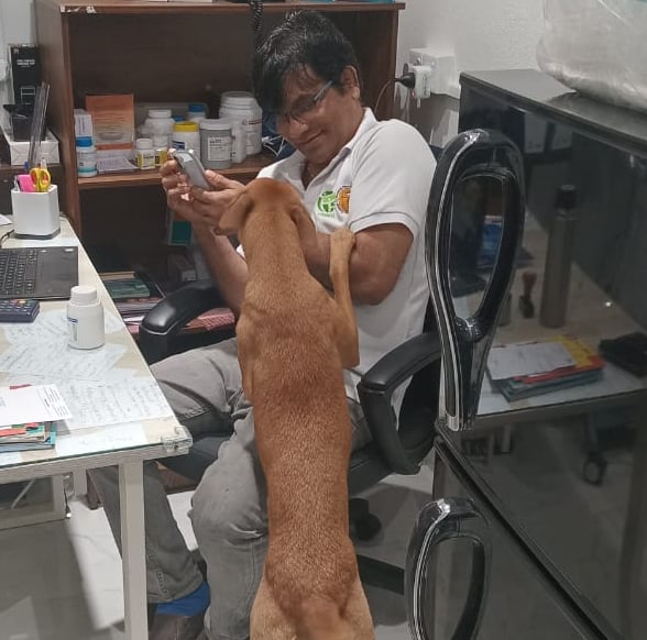 Emergency veterinary consultation for a dog at Pet Pulse Animal Hospital in Battaramulla
