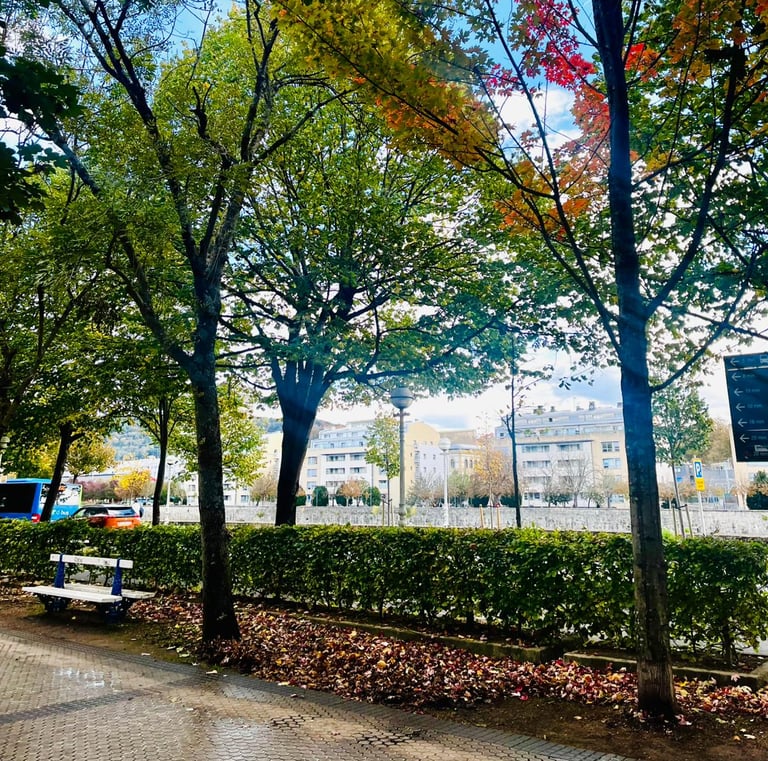 centro de adicciones donostia