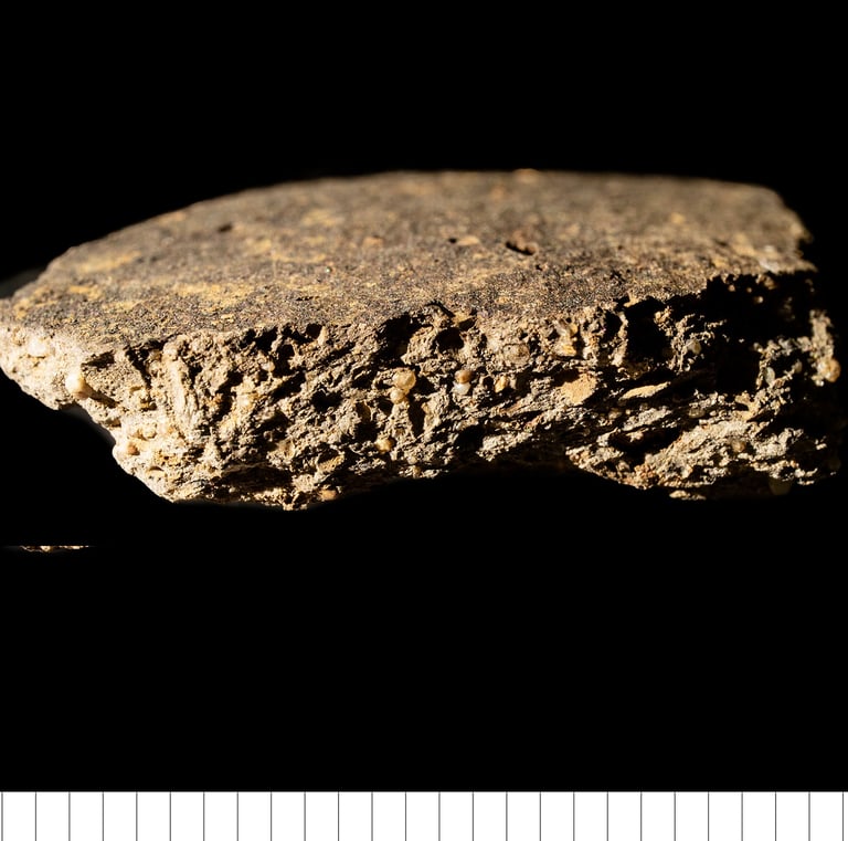 EMWSG - Gritty EMWSS