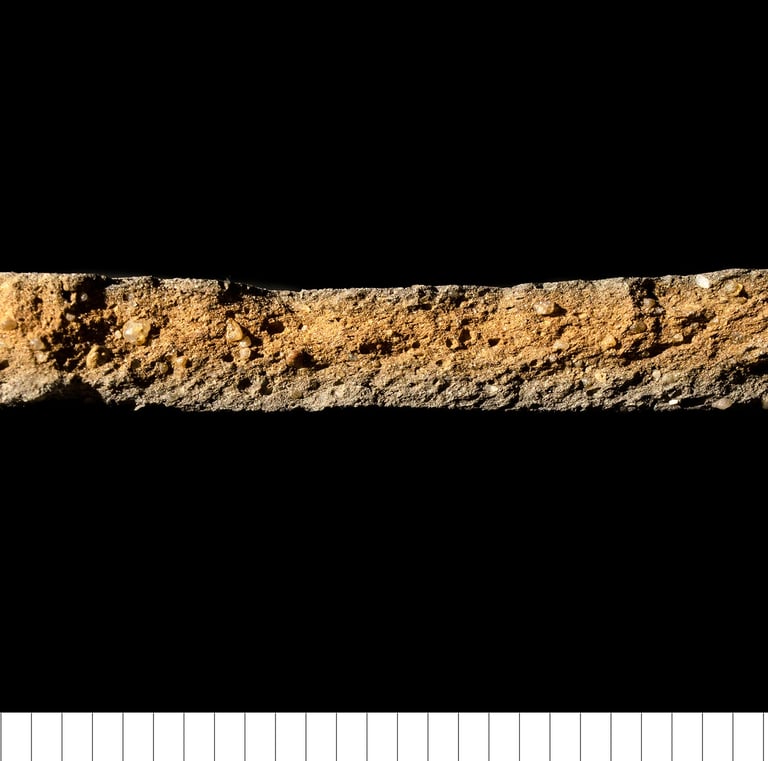 BMCW - Bury medieval coarseware