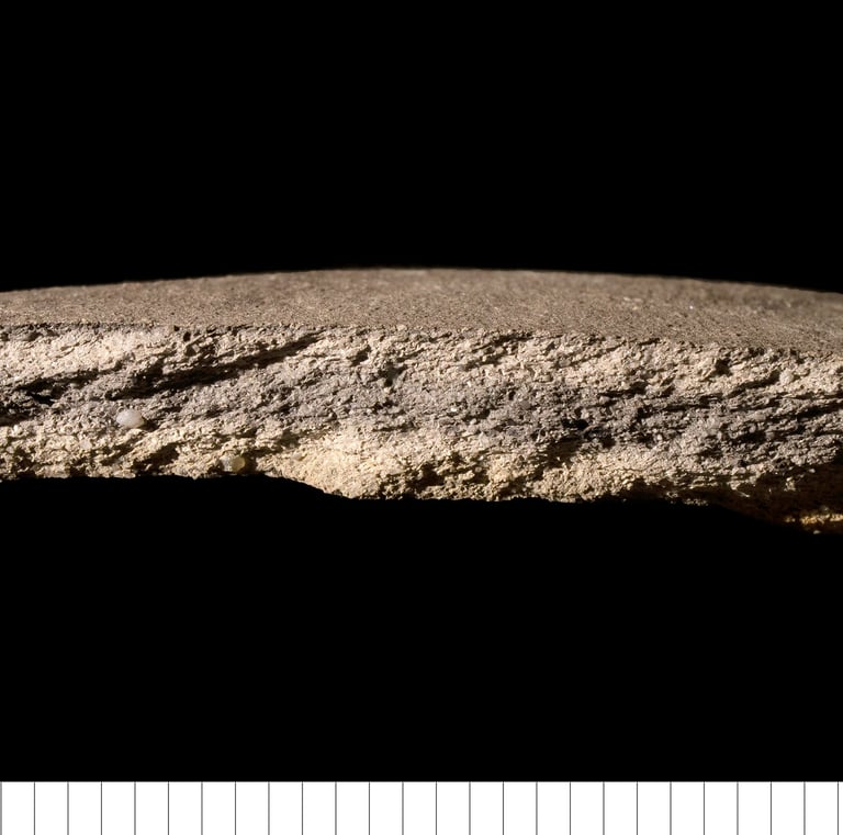 MCWSC - Medieval coarseware Suffolk coastal