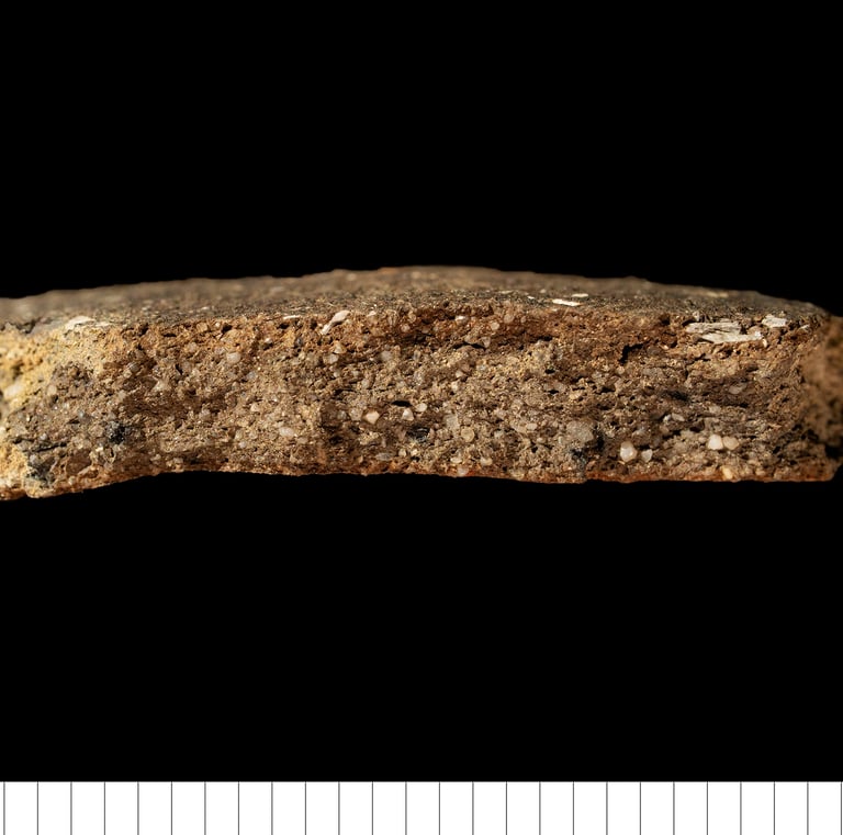 EMWSD - Shell-dusted EMW