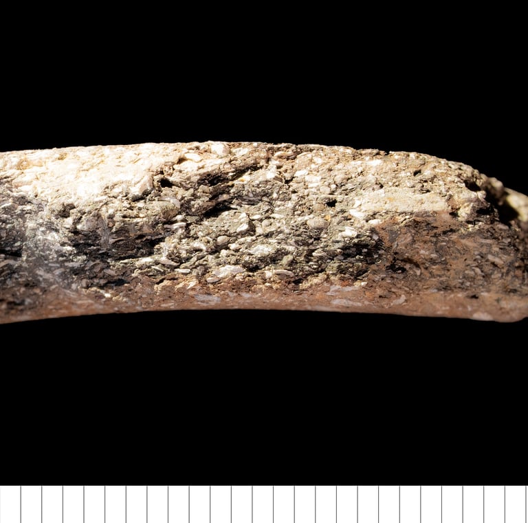 NEOT - St Neots-type ware