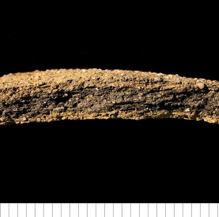 THETL - 'Local' Thetford-type ware - Lowestoft