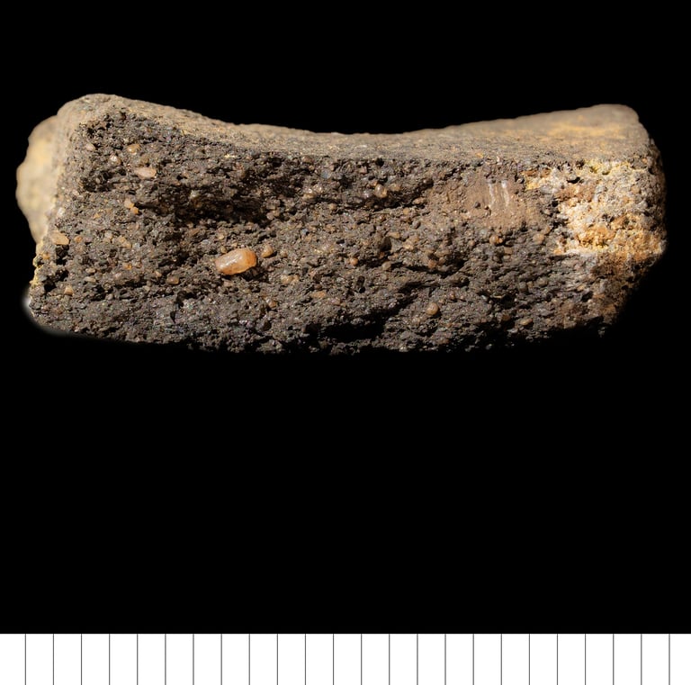 ESFS - Early Anglo-Saxon fine sandy