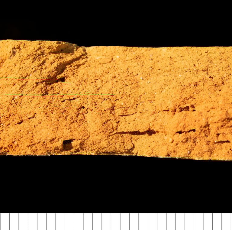 COLL - Late medieval Colchester ware