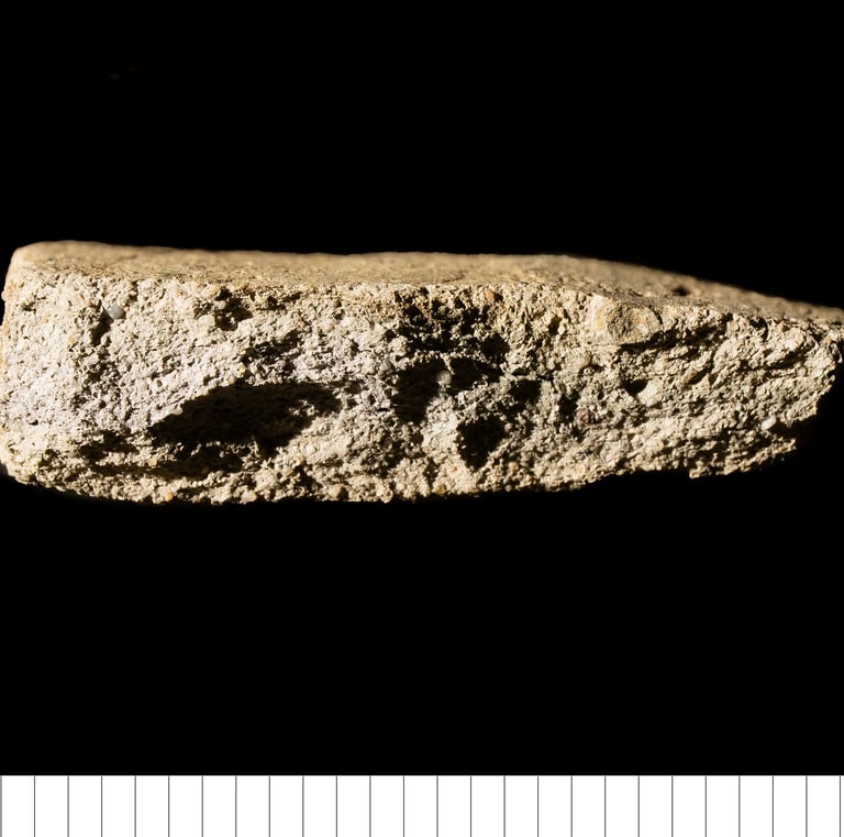 HOLL - Hollesley coarseware