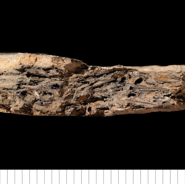 ESO1 - Early Anglo-Saxon grass tempered