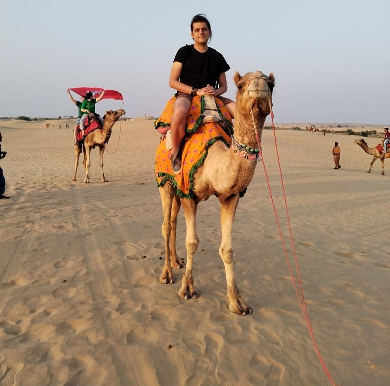 Kelionės į Indiją Travel India camel in desert of Rajasthan