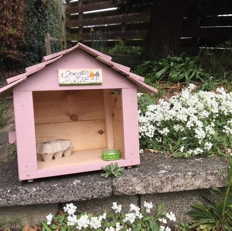 a small wooden egg box storage hut