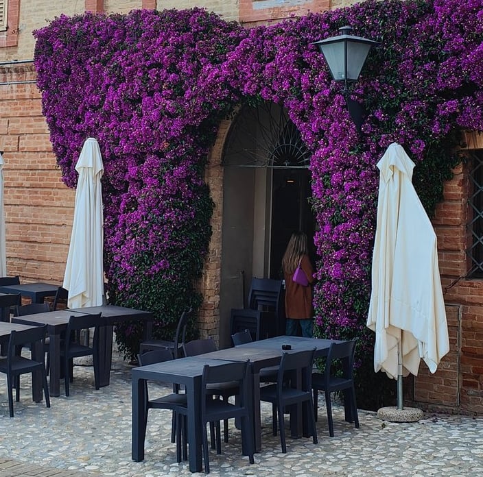 🍽️ Migliore ristorante di Grottammare by Indieblondie® from Le Marche in Italy™