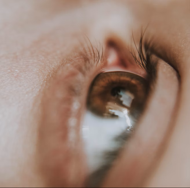 Professional eyes and brows services in Bradford