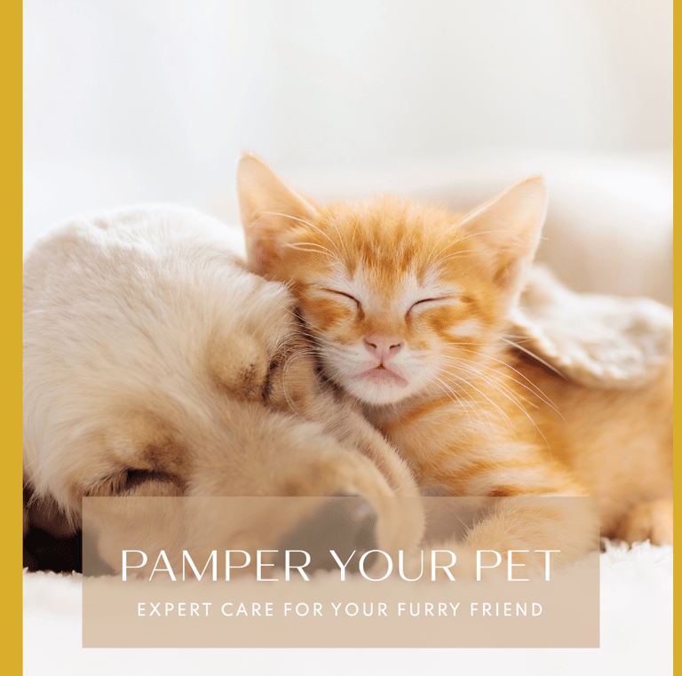 Microfiber Highly Absorbent, Gentle, Fast Drying Towel for Petcare, Pets