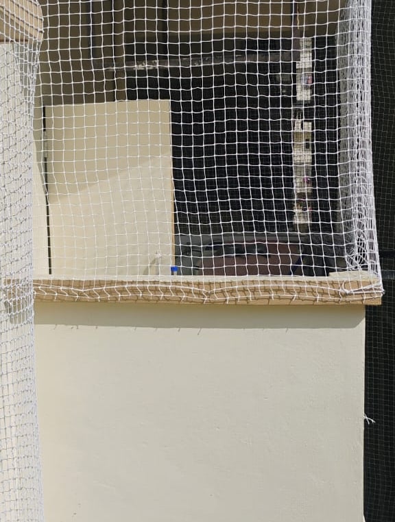 Side view of a building facade protected by tightly secured pigeon nets.