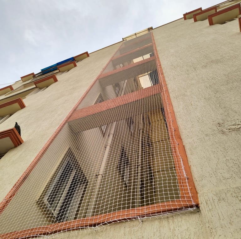 Wide shot showing a building facade covered with anti pigeon nets preventing birds from nesting.