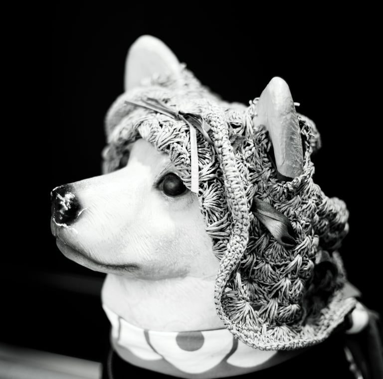 a dog wearing a hat with a scarf around it