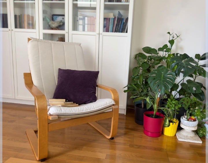 “Quiet counseling and mental health coaching space in Clemson, South Carolina”
