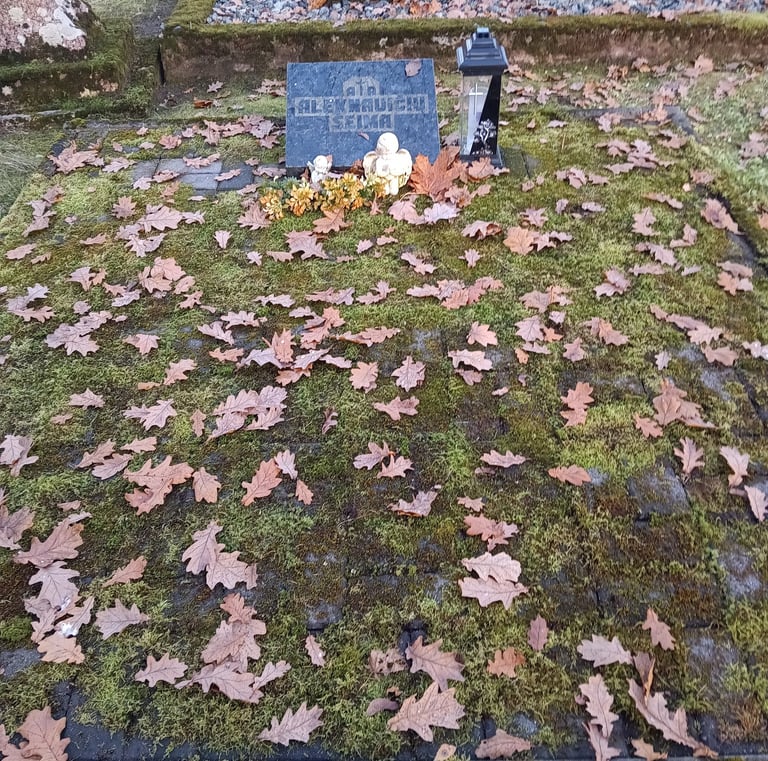 Aleknavičių šeima