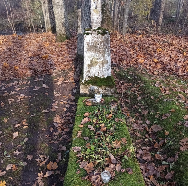 Kol kas nepavyko perskaityti 4