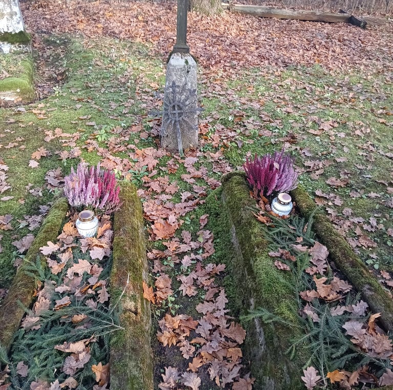 Kol kas nepavyko perskaityti 6